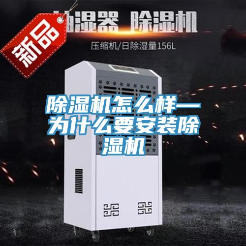 好色先生在线播放怎麽樣—為什麽要安裝好色先生在线播放