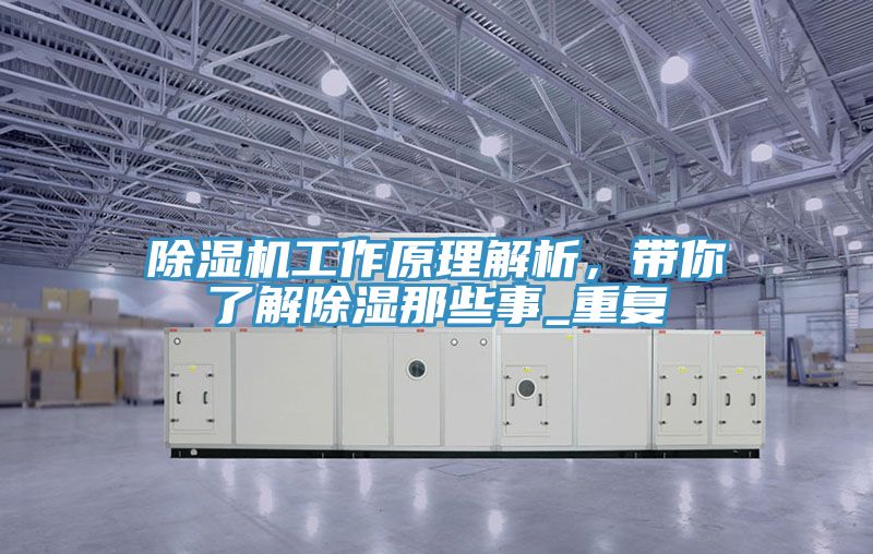 好色先生在线播放工作原理解析，帶你了解除濕那些事_重複