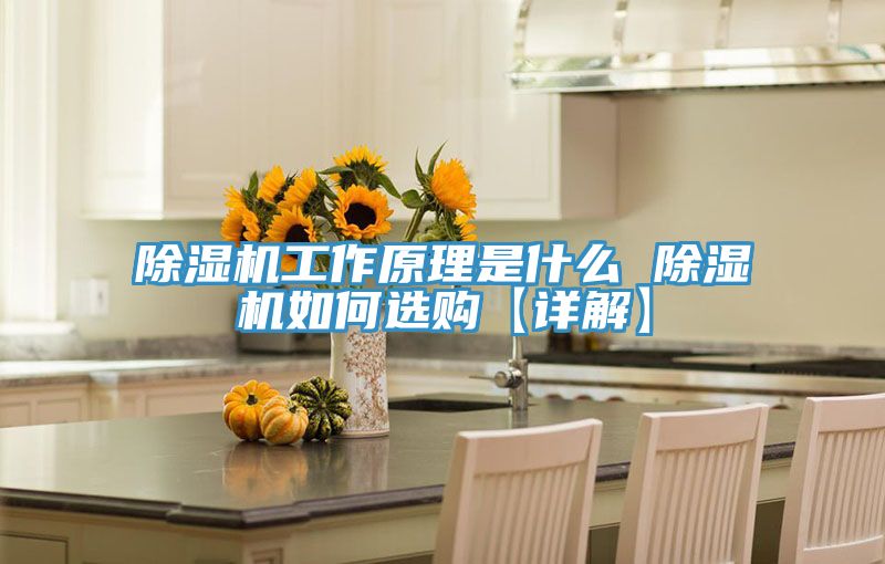 好色先生在线播放工作原理是什麽 好色先生在线播放如何選購【詳解】