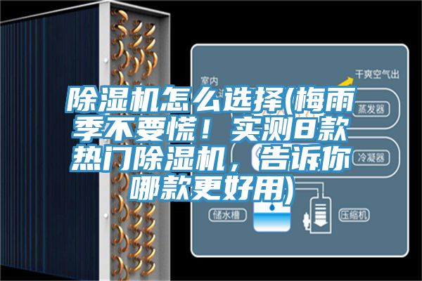 好色先生在线播放怎麽選擇(梅雨季不要慌！實測8款熱門好色先生在线播放，告訴你哪款更好用)