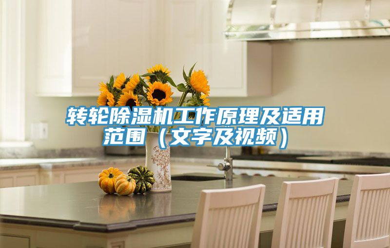 轉輪好色先生在线播放工作原理及適用範圍（文字及視頻）