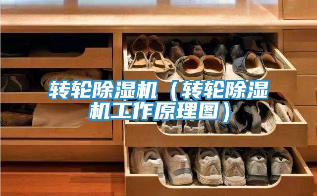 轉輪好色先生在线播放（轉輪好色先生在线播放工作原理圖）