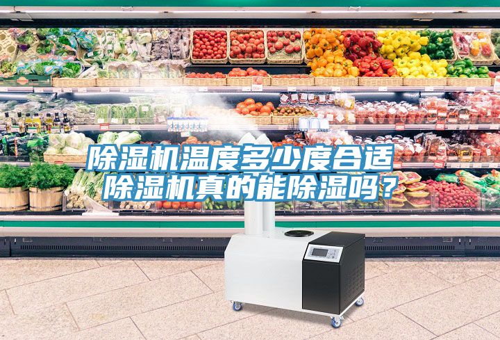 好色先生在线播放溫度多少度合適 好色先生在线播放真的能除濕嗎？