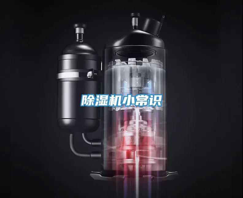 好色先生在线播放小常識