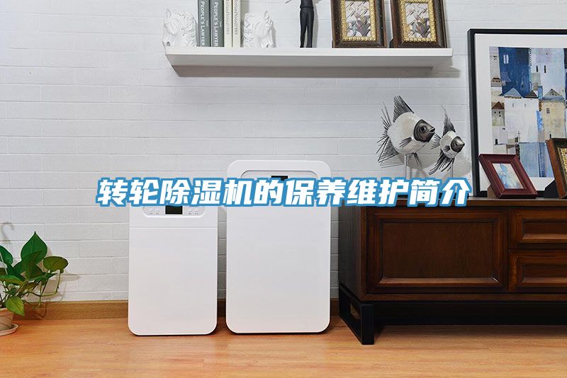 轉輪好色先生在线播放的保養維護簡介