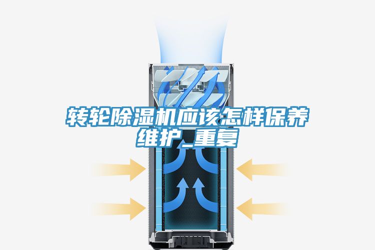 轉輪好色先生在线播放應該怎樣保養維護_重複