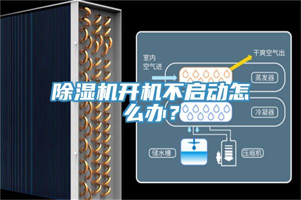 好色先生在线播放開機不啟動怎麽辦？