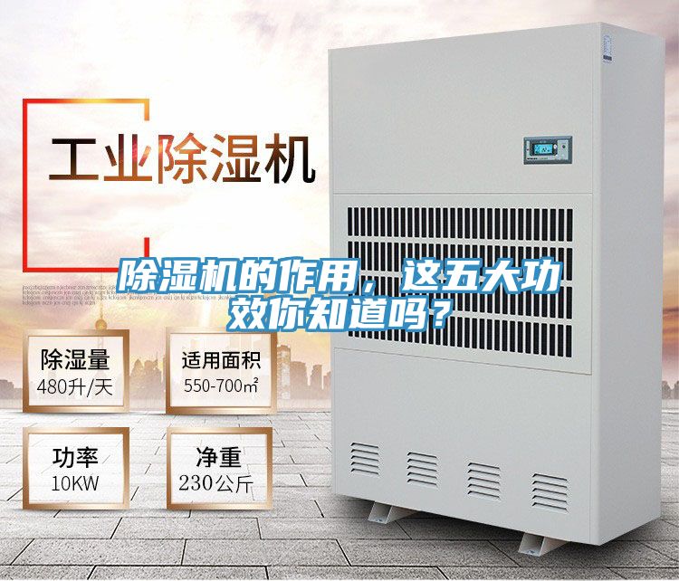 好色先生在线播放的作用，這五大功效你知道嗎？