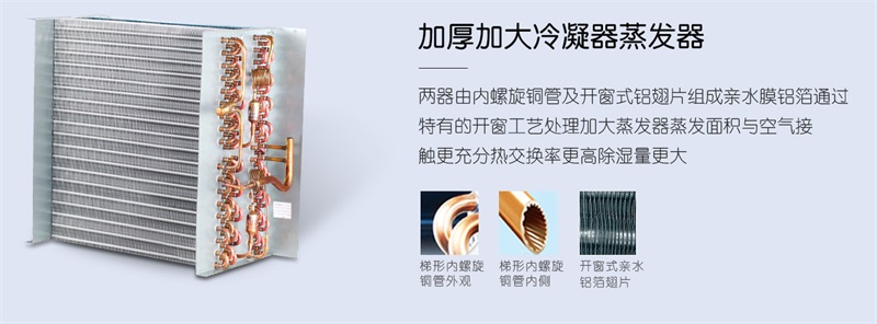 壁掛好色先生在线播放2