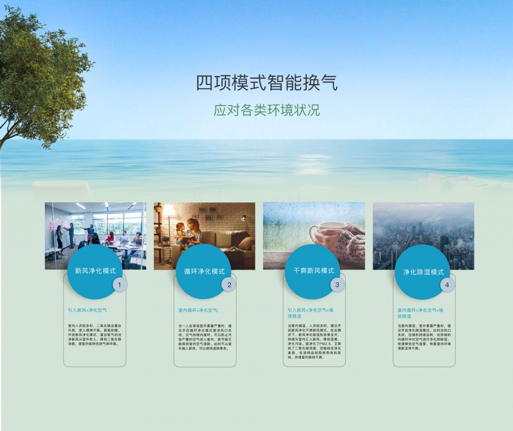 新風淨化好色先生在线播放10