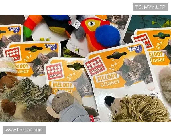 足球明星卡片拆卡乐趣无限揭开珍藏背后的故事与价值 足球明星卡片拆卡乐趣无限揭开珍藏背后的故事与价值