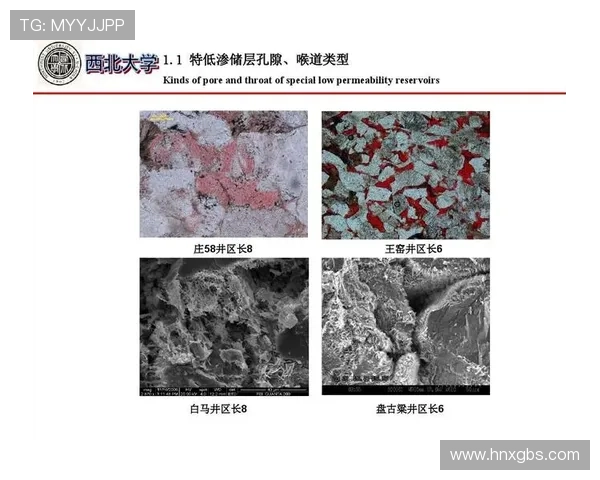 杭州网球队边路渗透战术分析及其对比赛结果的影响探讨