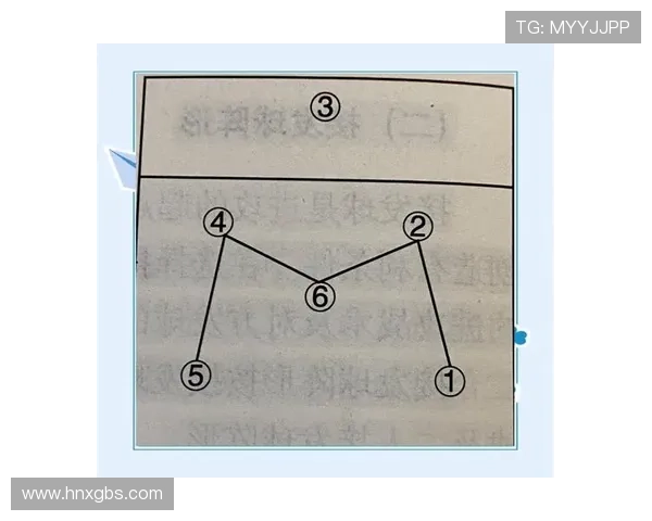 广州排球队的节奏揭秘：深入分析排球的魅力与战术策略